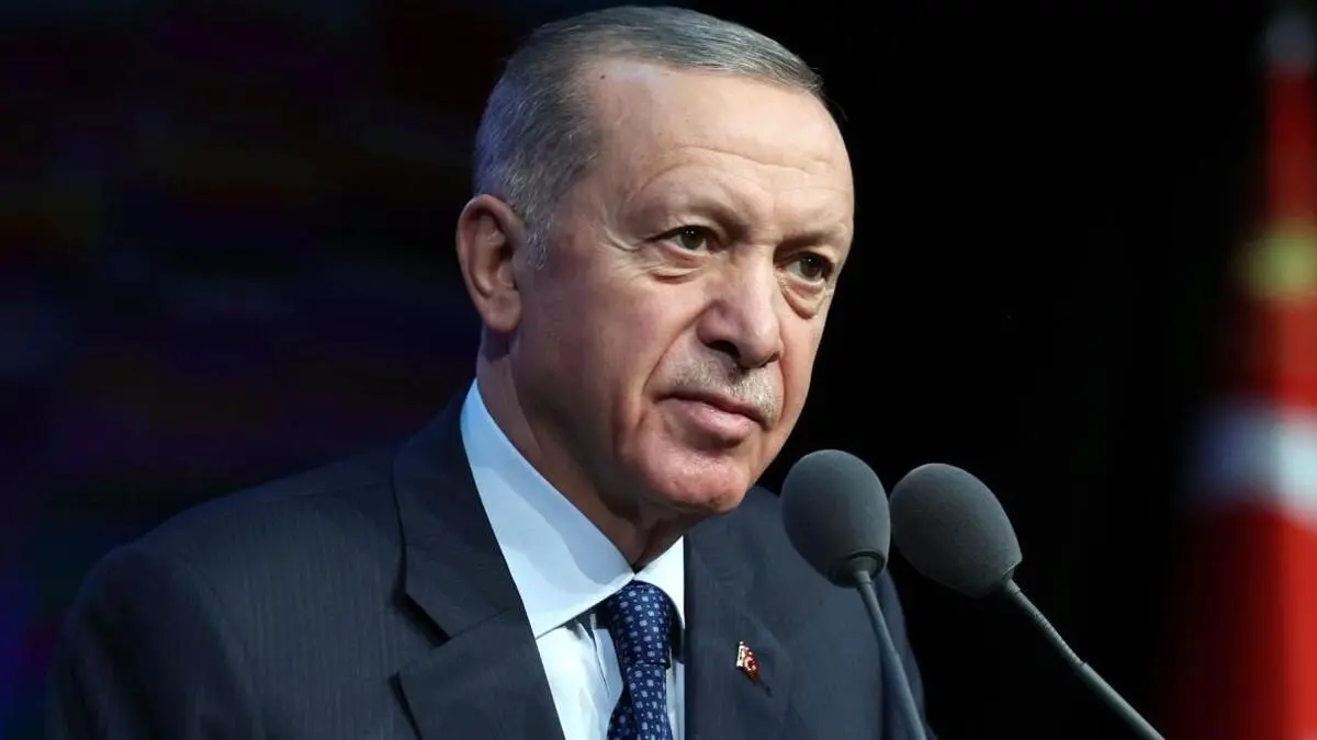 اردوغان: شورای امنیت باز هم به وظیفه‌اش عمل نکرد