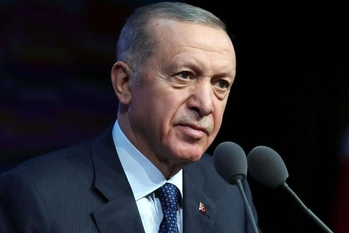 اردوغان: شورای امنیت باز هم به وظیفه‌اش عمل نکرد