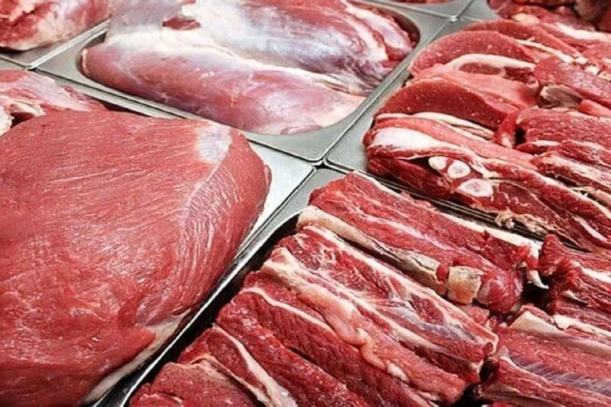 عرضه گوشت قرمز وارداتی، نصف قیمت بازار