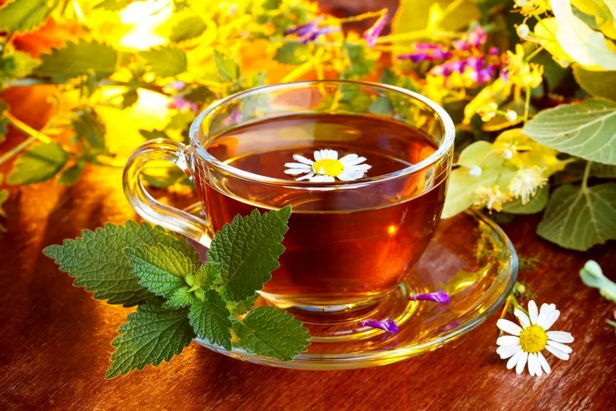 بهترین دمنوش گیاهی ضد آلودگی هوا