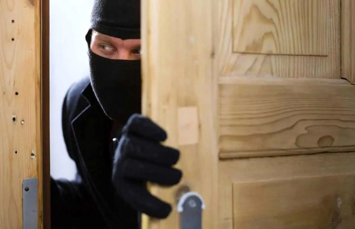 (ویدئو) تلاش بی‌ثمر کُند ذهن‌ترین سارق دنیا
