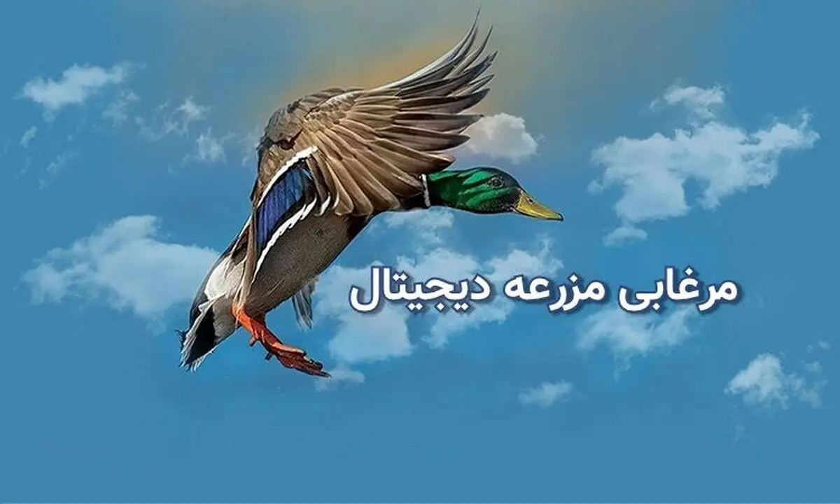 مرغابی، پلتفرم برتر برای خرید و فروش دام، طیور و آبزیان