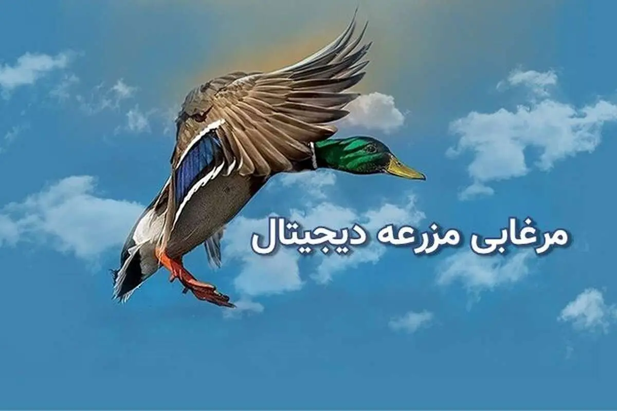 مرغابی، پلتفرم برتر برای خرید و فروش دام، طیور و آبزیان