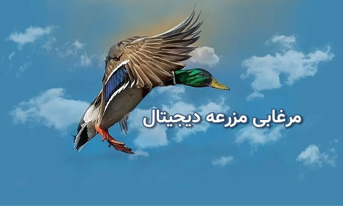 مرغابی، پلتفرم برتر برای خرید و فروش دام، طیور و آبزیان