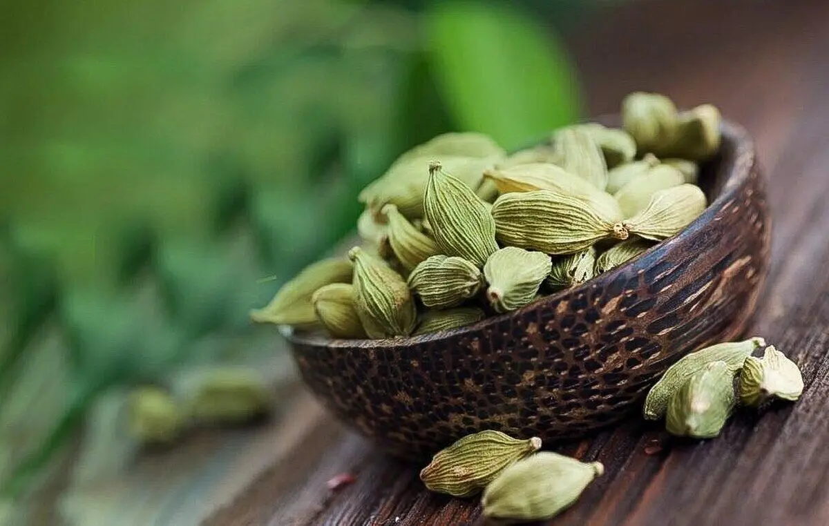 گیاه معطر پرخاصیت برای درمان مشکلات گوارشی