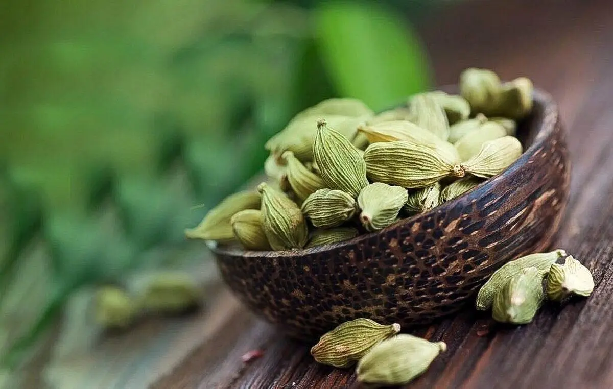 گیاه معطر پرخاصیت برای درمان مشکلات گوارشی