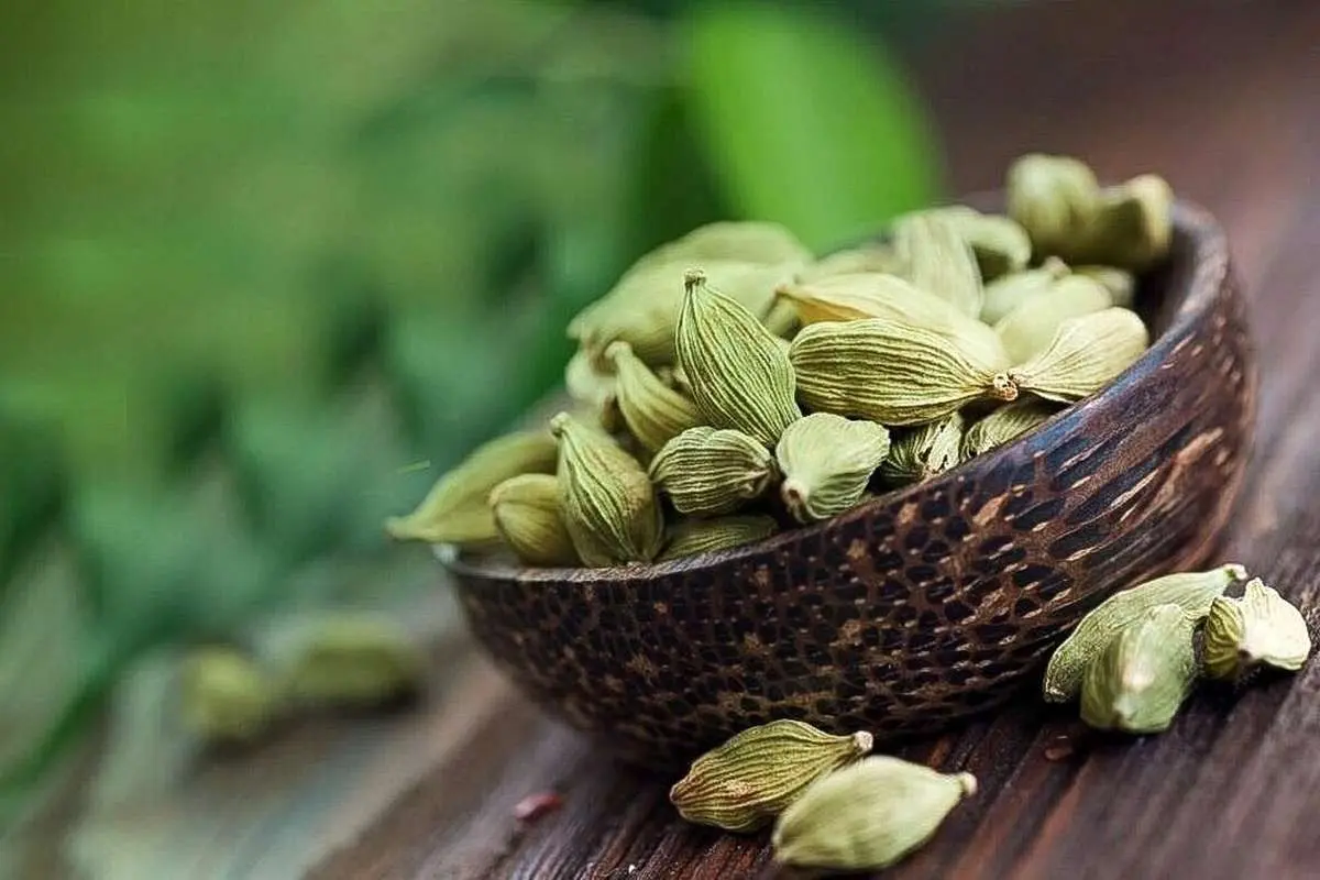گیاه معطر پرخاصیت برای درمان مشکلات گوارشی