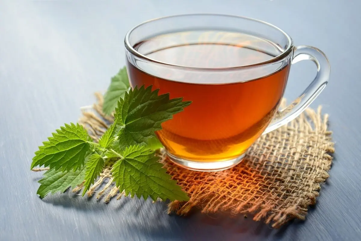 با چای ادویه دار وزن کم کنید / کاهش وزن با شیر طلایی