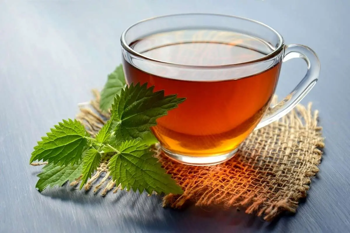 با چای ادویه دار وزن کم کنید / کاهش وزن با شیر طلایی