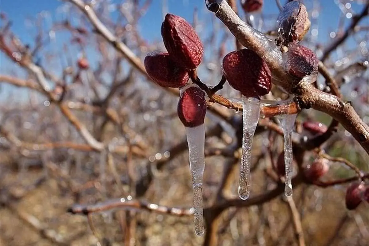ثبت نخستین دمای زیر صفر در استان تهران