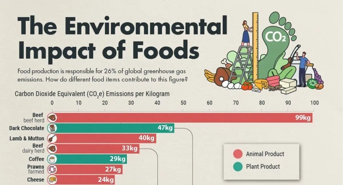 این مواد خوراکی بیشترین تأثیر منفی را بر محیط زیست می‌گذارند