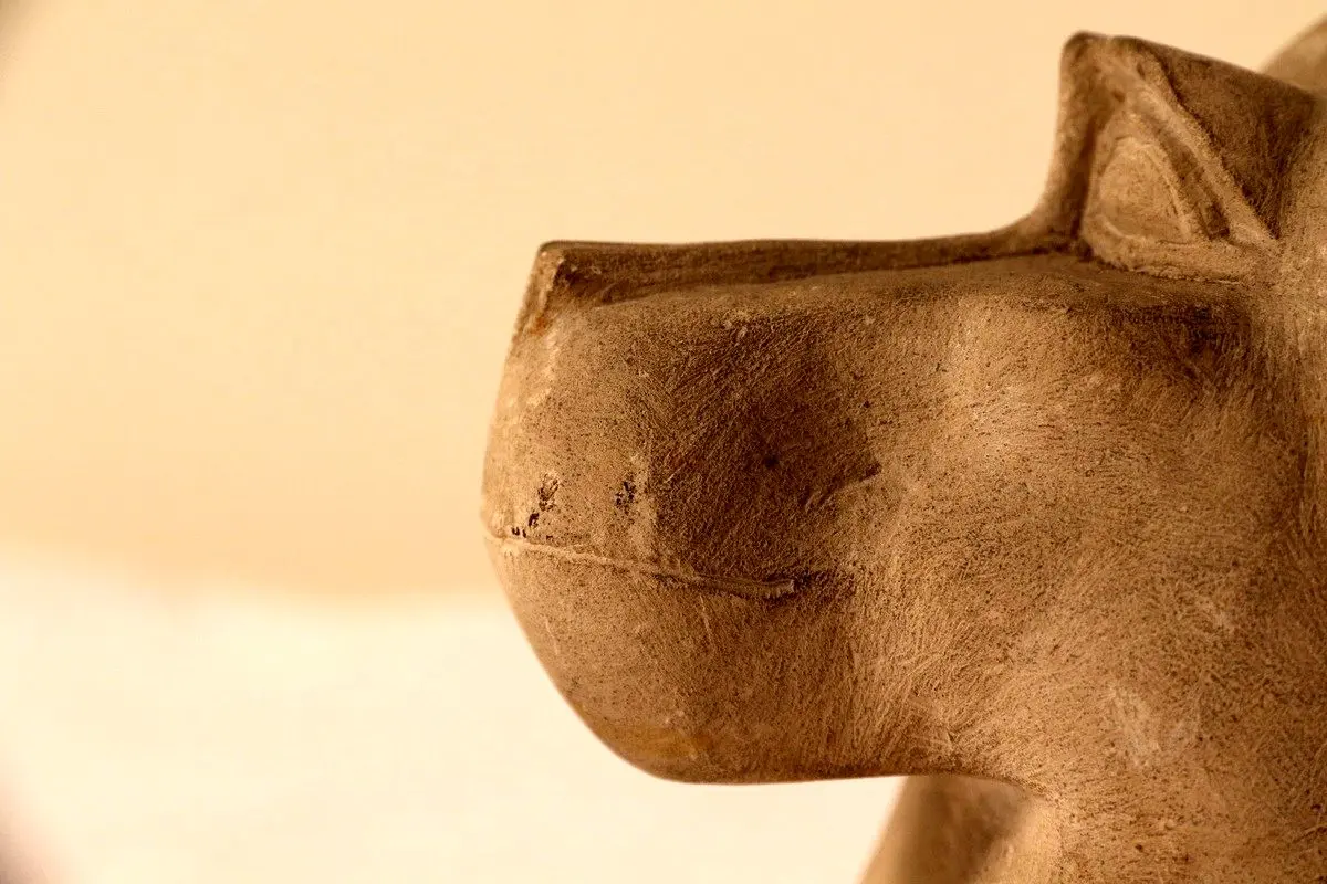 (تصویر) بابون‌های عجیبی که از ناکجا آباد آمده‌اند!