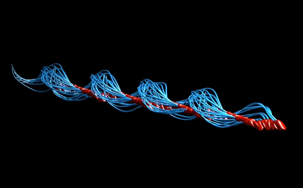 رمزگشایی از حرکت اسپرم؛ قانون سوم نیوتن را نقض می‌کند