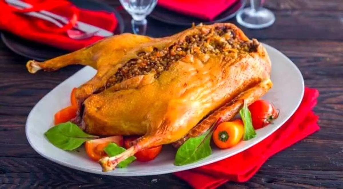 خواص باورنکردنی گوشت غاز برای سلامت و درمان + عوارض