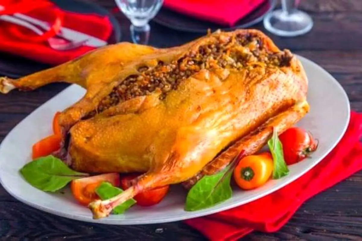 خواص باورنکردنی گوشت غاز برای سلامت و درمان + عوارض