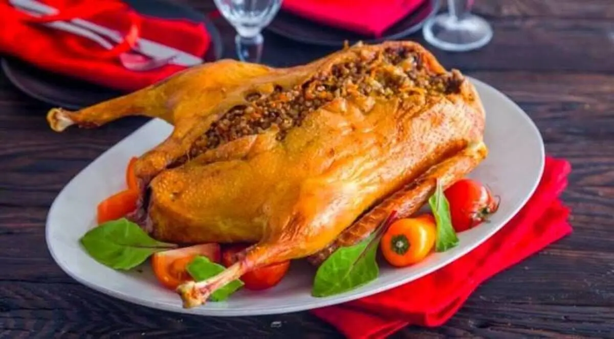 خواص باورنکردنی گوشت غاز برای سلامت و درمان + عوارض