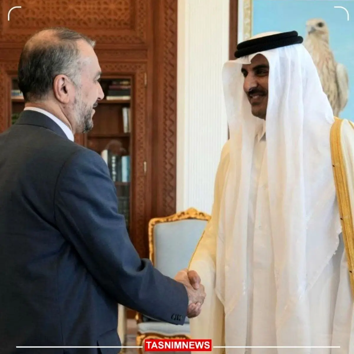 امیرعبداللهیان با امیر قطر دیدار کرد