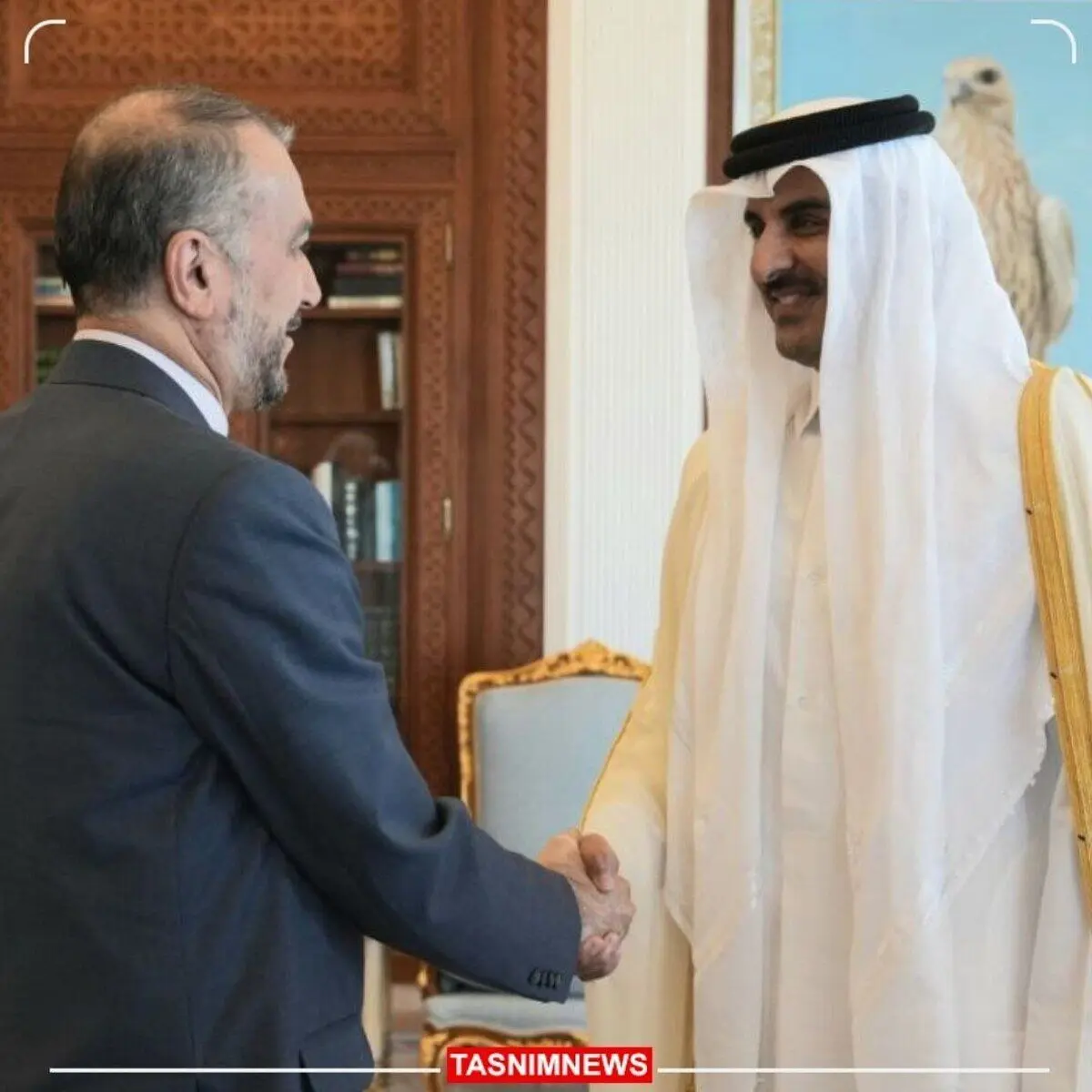 امیرعبداللهیان با امیر قطر دیدار کرد