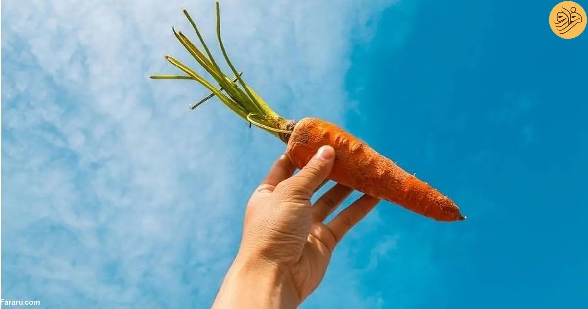 (عکس) زن جوان پس از ۳ ماه خوردن هویج برای کاهش وزن، نارنجی شد!