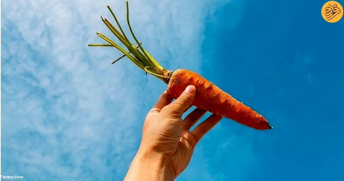 (عکس) زن جوان پس از ۳ ماه خوردن هویج برای کاهش وزن، نارنجی شد!