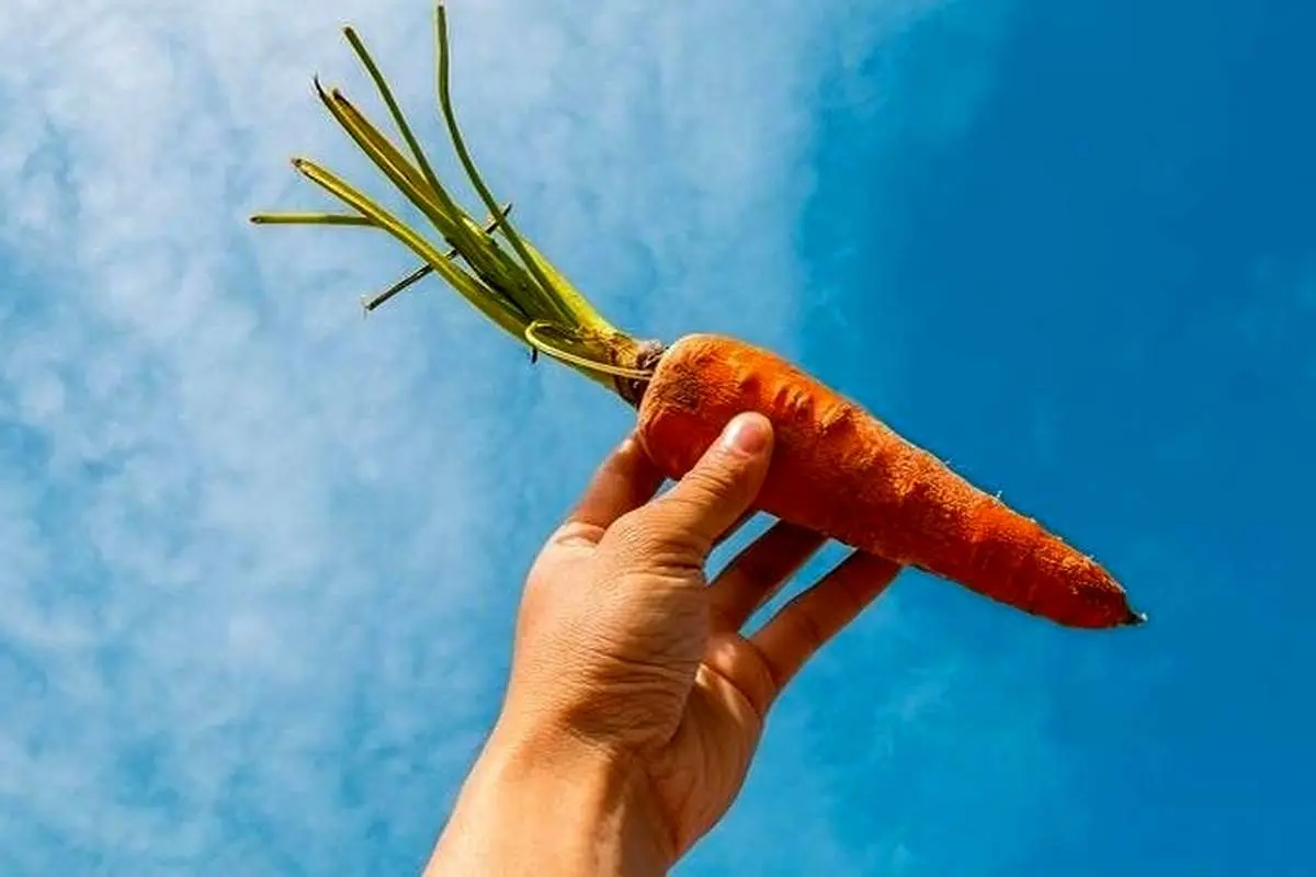 (عکس) زن جوان پس از ۳ ماه خوردن هویج برای کاهش وزن، نارنجی شد!