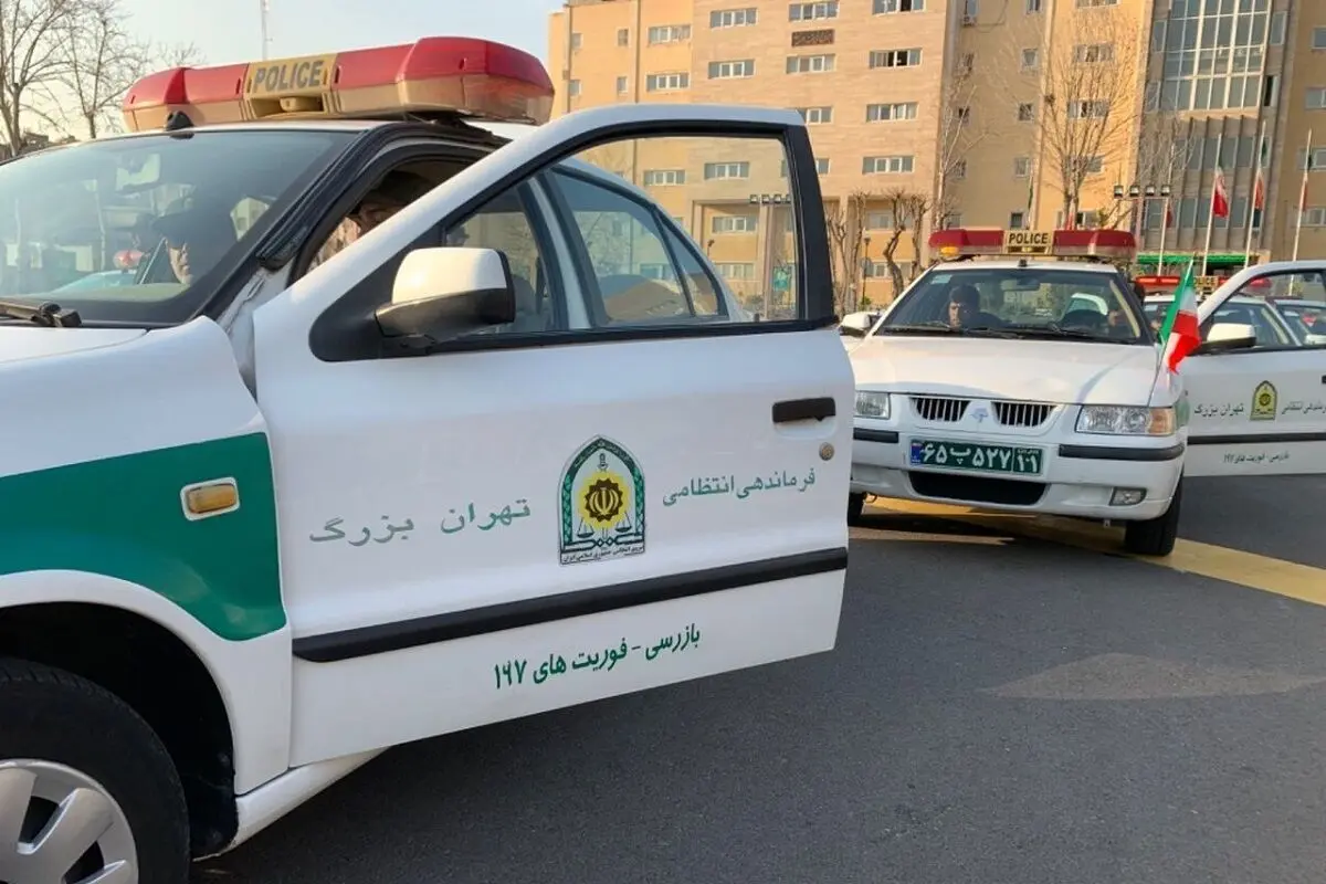 (ویدئو) لحظه غافلگیری سارق توسط پلیس نامحسوس مشهد