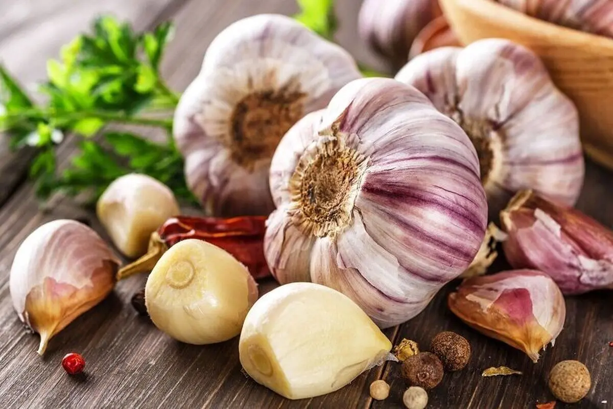 روش صحیح پخت سیر/ مزایای بی‌نظیر سیر برای سلامتی