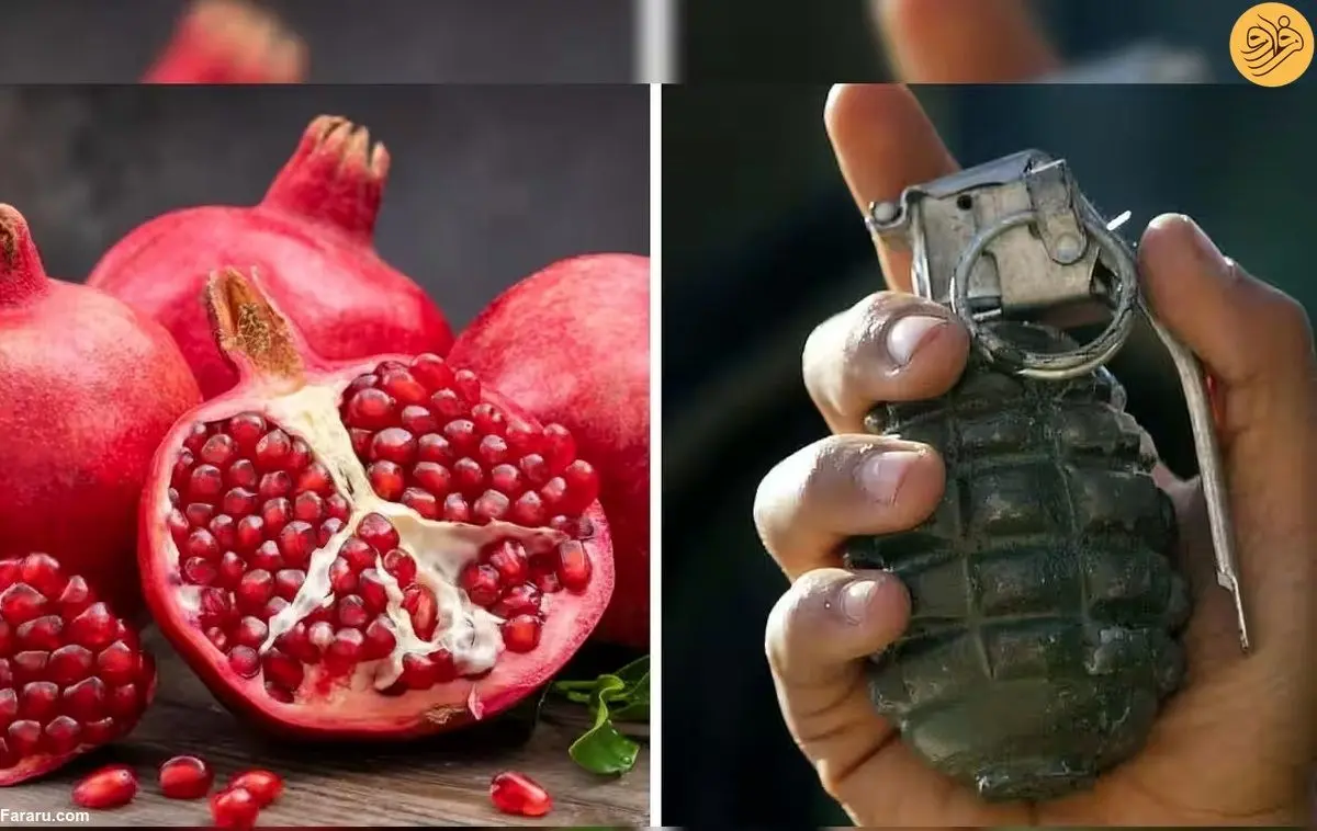 (ویدئو) «نارنجک» به جای «آب انار»؛ توریست را به دردسر انداخت!