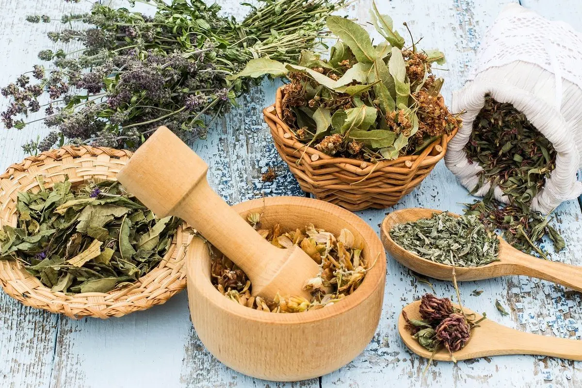 عوارض مصرف خودسرانه گیاهان دارویی برای سلامتی