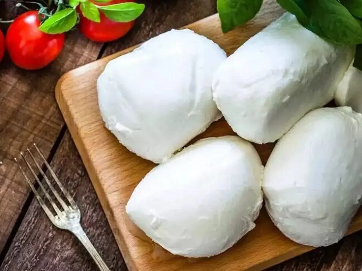 ۴ پنیر ویژه برای سلامت قلب/ از این خوراکی خوشمزه چه می‌دانیم؟