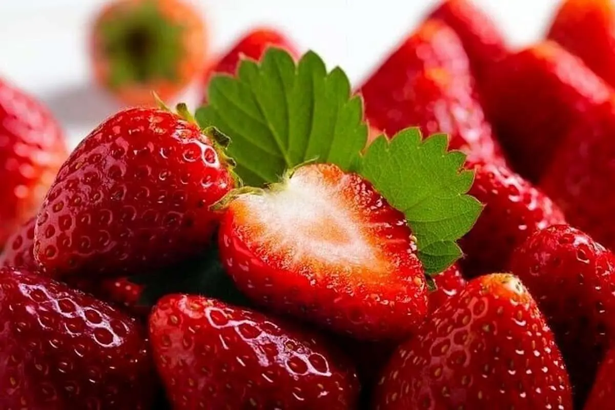 مفیدترین مواد غذایی برای سلامت پوست