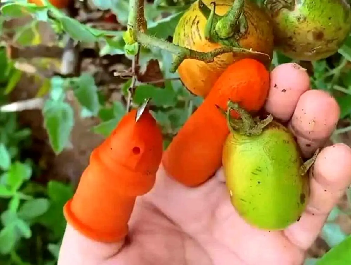 (ویدئو) یک تکنولوژی جالب و کاربردی برای کشاورزان