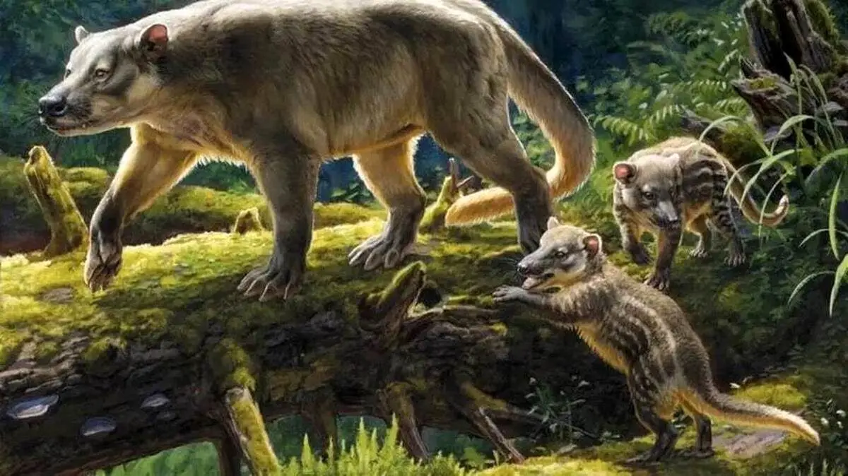 چرا پستانداران پس از برخورد شهاب بزرگ با زمین منقرض نشدند؟