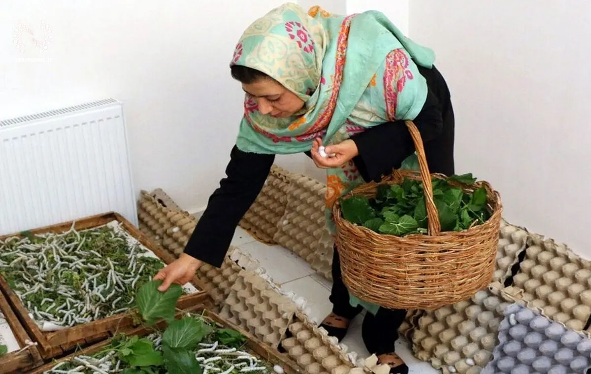 وام ۱۵۰ میلیون تومانی مشاغل خانگی چند ضامن می‌خواهد؟