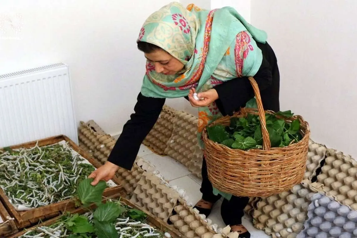 وام ۱۵۰ میلیون تومانی مشاغل خانگی چند ضامن میخواهد؟