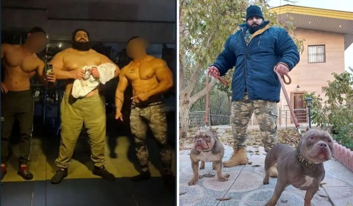 سجاد غریبی: از UFC پیشنهاد دارم!