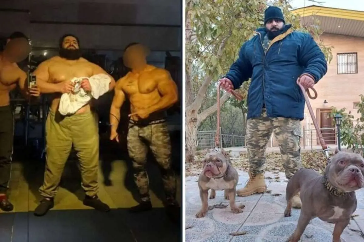 سجاد غریبی: از UFC پیشنهاد دارم!