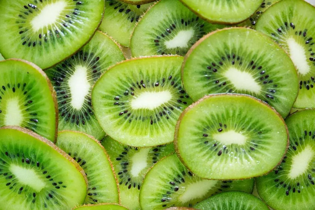(ویدئو) به همین سادگی در خانه کیوی بکارید و میوه برداشت کنید