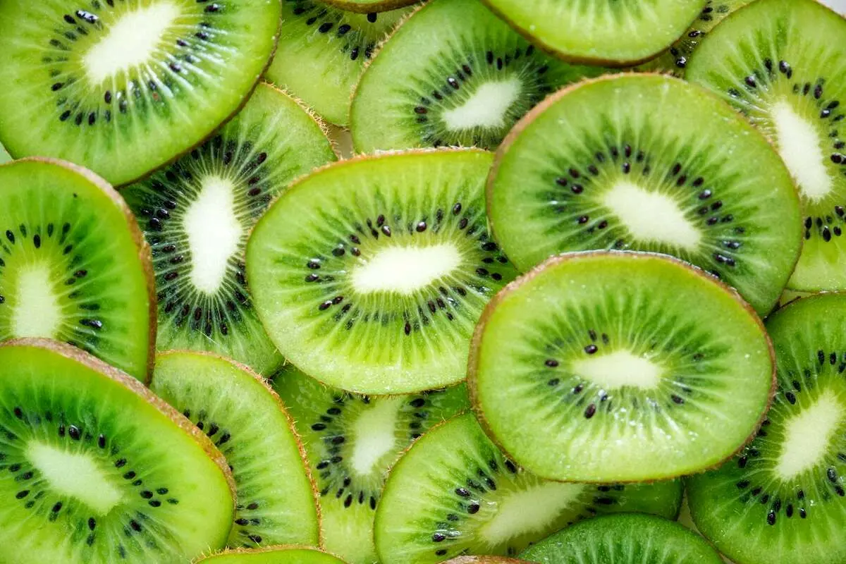 (ویدئو) به همین سادگی در خانه کیوی بکارید و میوه برداشت کنید