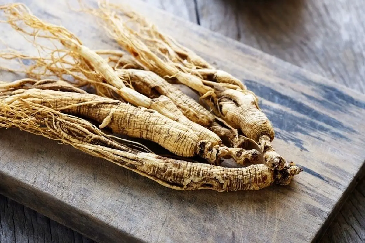 جینسینگ یک گیاه مقوی با خاصیت لاغری سریع
