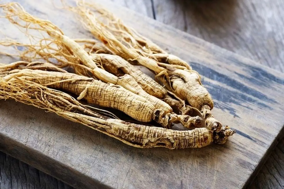 جینسینگ یک گیاه مقوی با خاصیت لاغری سریع