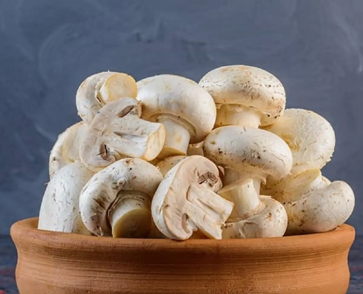 این ماده غذایی خطر از دست دادن حافظه را نصف می‌کند