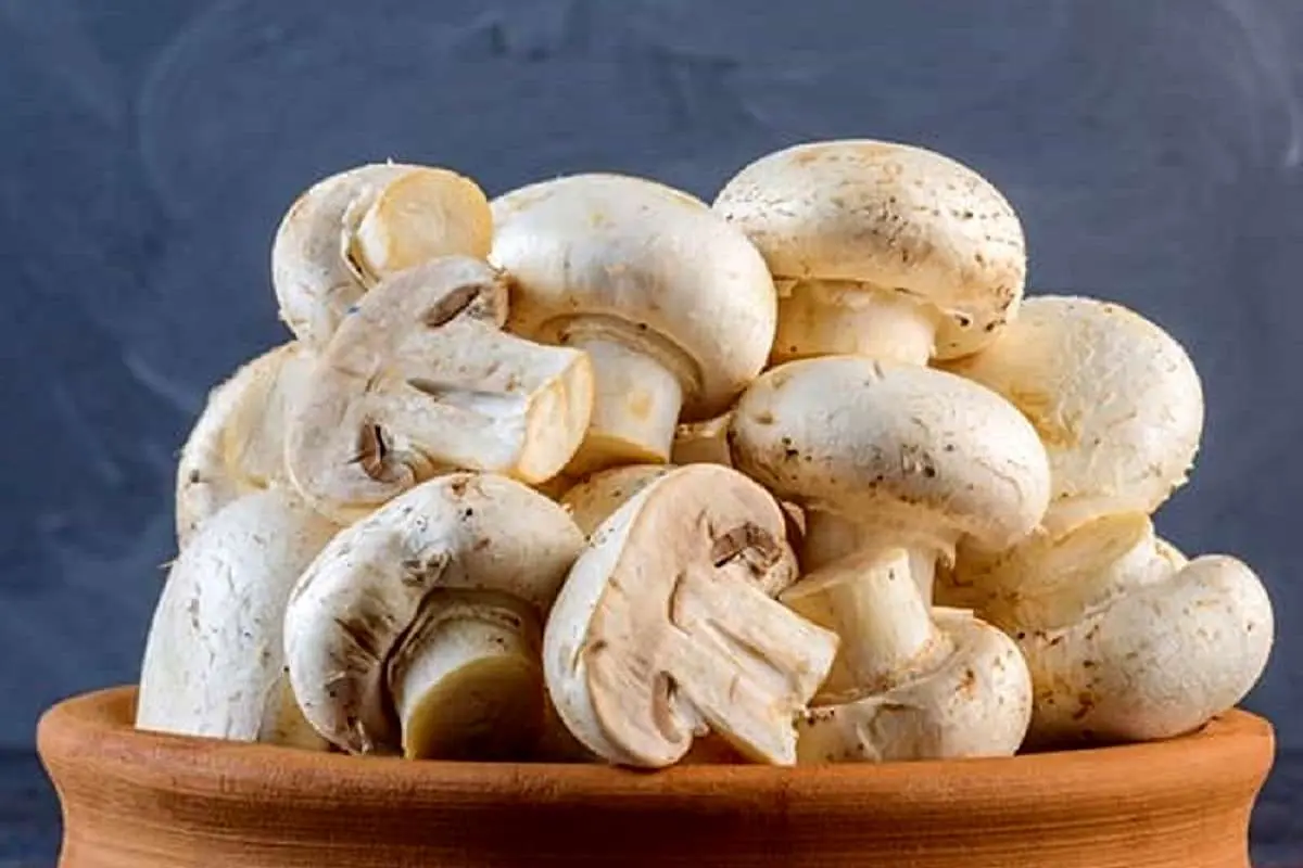 این ماده غذایی خطر از دست دادن حافظه را نصف میکند