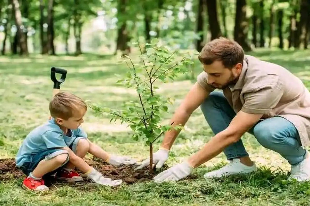 کاشت درخت؛ راهحلی برای تغییرات اقلیمی یا تهدیدی برای اکوسیستمها؟