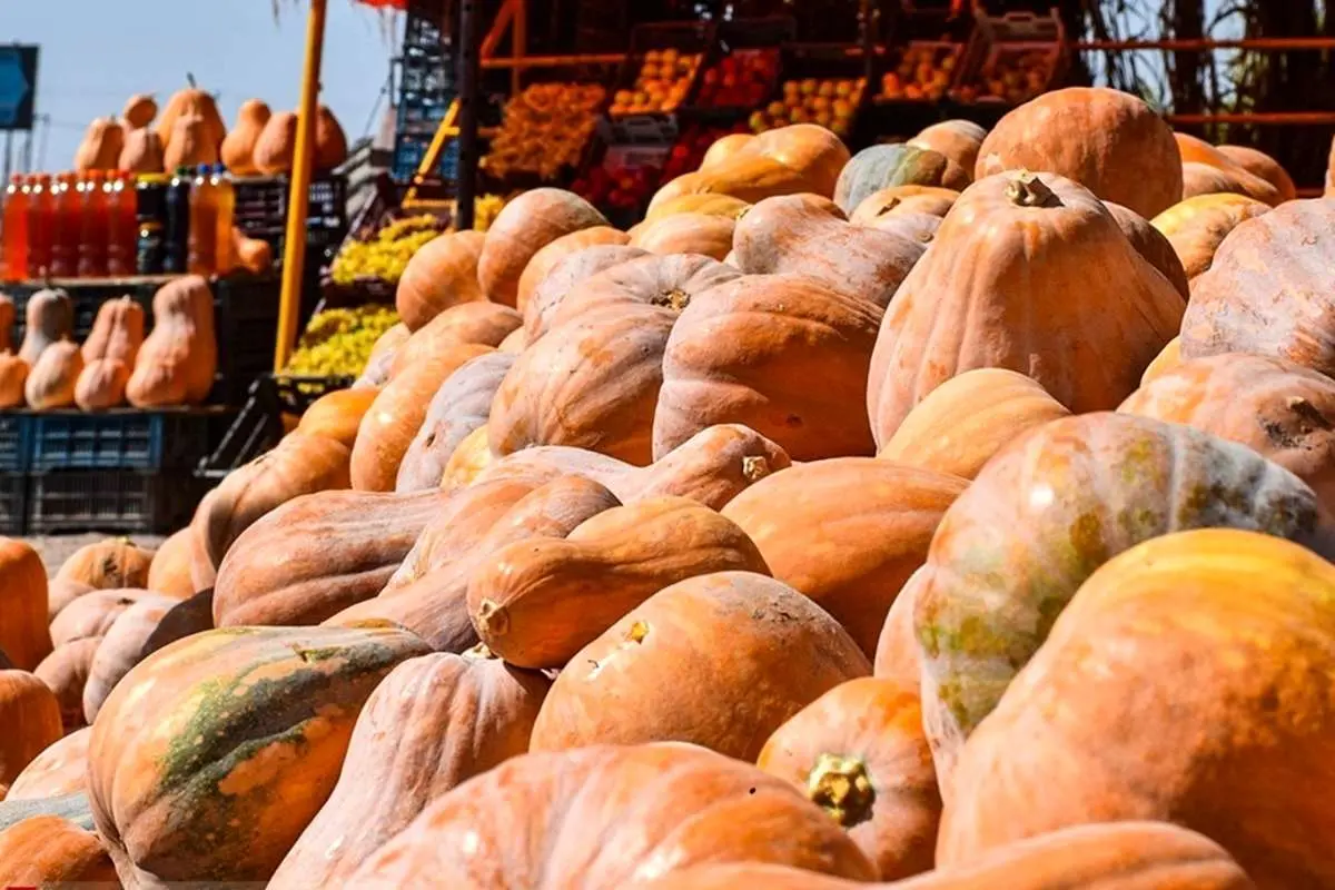 ۱۱ مورد از مهمترین خواص و مضرات کدو حلوایی برای سلامتی