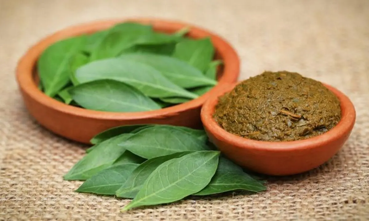 خواص شگفت انگیز «حنا»