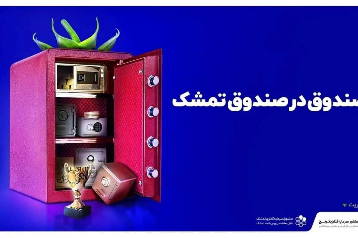 صندوق تمشک، سرمایهگذاری با نقدشوندگی آنی