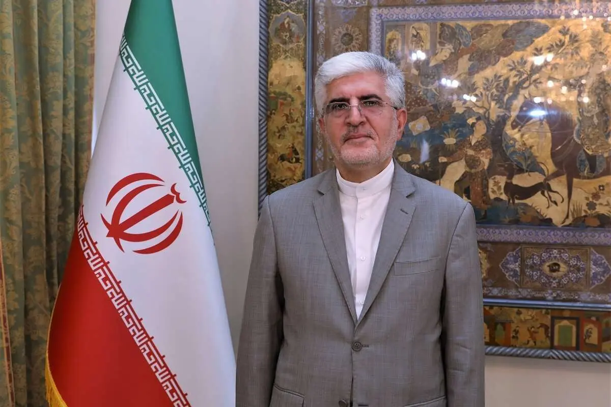 روایت سفیر ایران در کره جنوبی از خسارت بوکه شدن پول‌های ایران