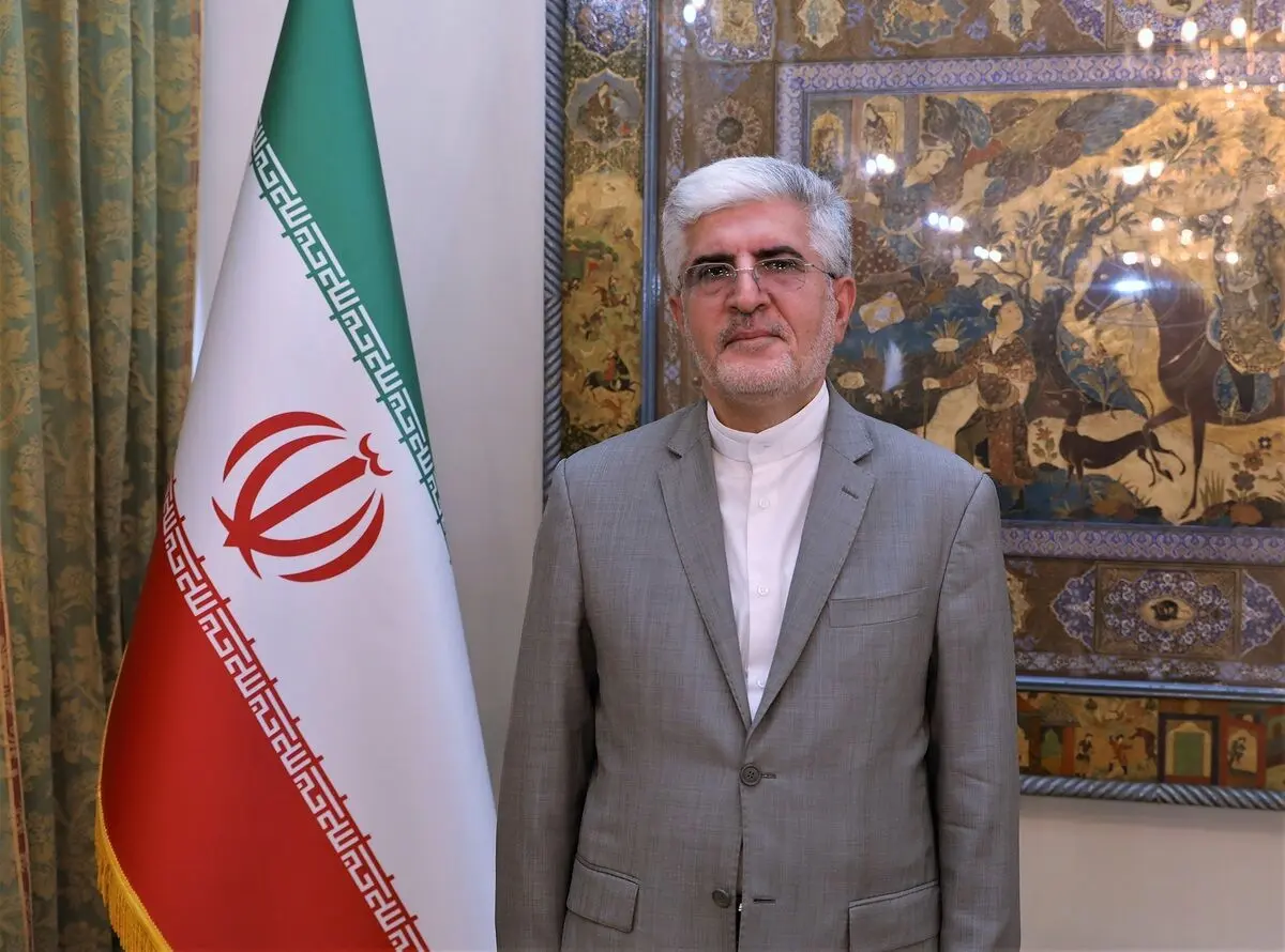 روایت سفیر ایران در کره جنوبی از خسارت بوکه شدن پول‌های ایران