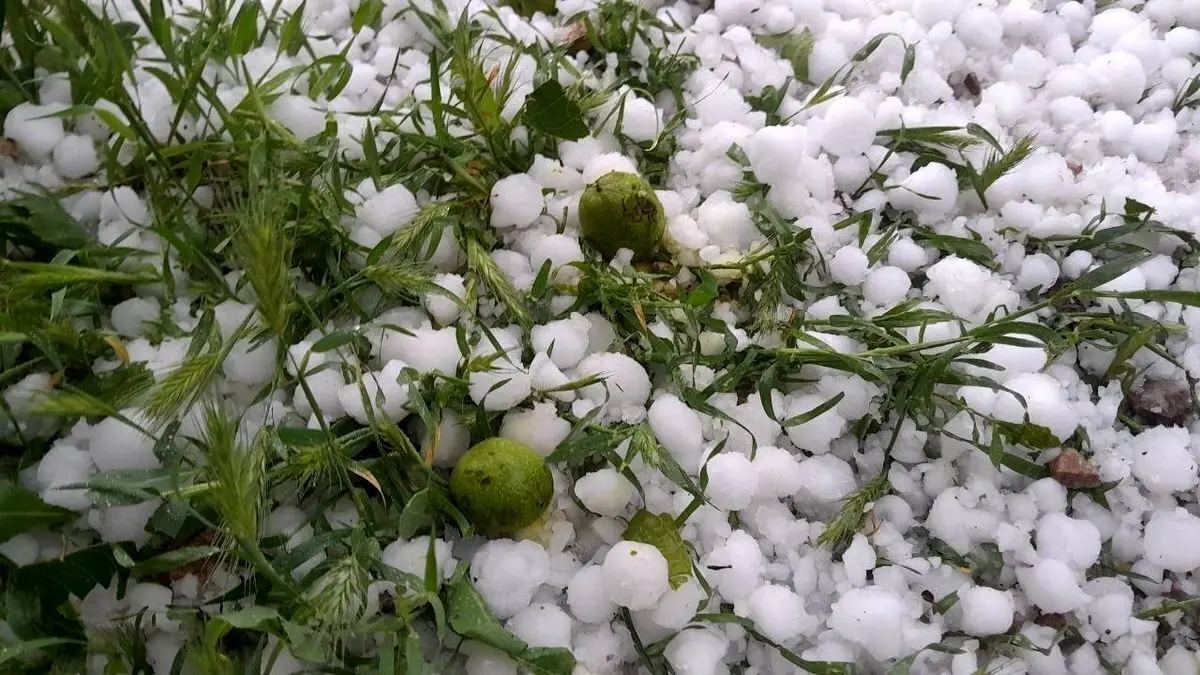 (ویدئو) بارش تگرگ در روستای «گَتی» لیردفِ جاسک